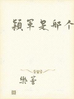 颖军是哪个军阀