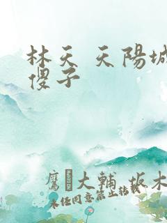 林天 天阳城 傻子
