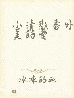 小清欢番外篇完美的爱