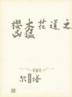 樱木花道之重生凶猛