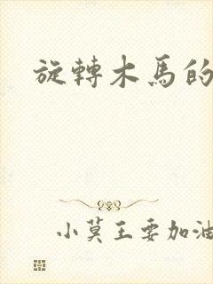 旋转木马的鏖战