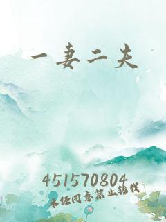 一妻二夫