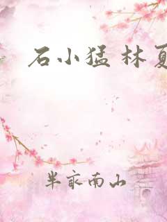 石小猛 林夏
