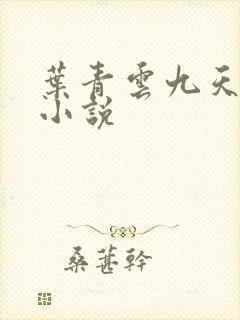 叶青云九天玄宗小说