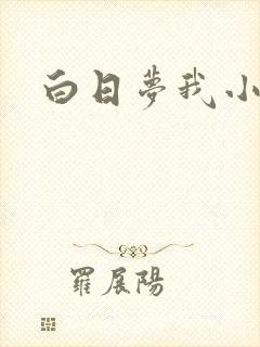 白日梦我小说