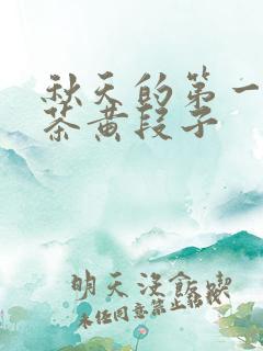 秋天的第一杯奶茶黄段子