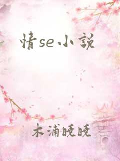 情se小说