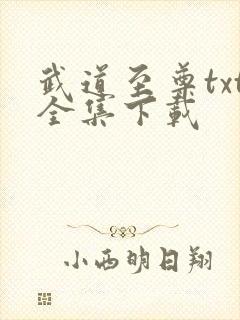 武道至尊txt全集下载