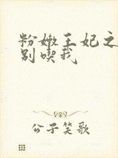 粉嫩王妃之殿下别吃我