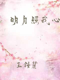 明月照我心小说