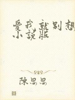 爱我就别想太多小说版