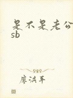 是不是老公的小sb