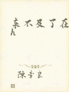 来不及了在车ch