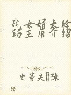 我女婿太给力了的主角介绍