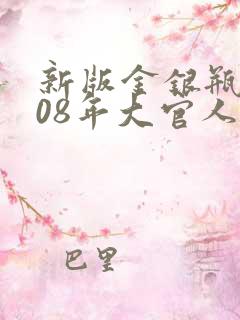 新版金银瓶2008年大官人