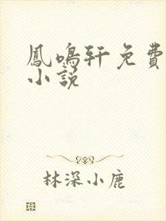凤鸣轩免费言情小说