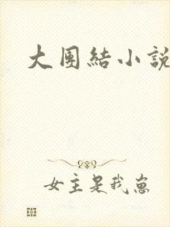 大团结小说阅读