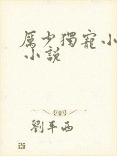 厉少独宠小娇妻 小说