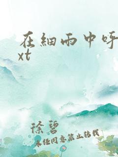 在细雨中呼喊txt