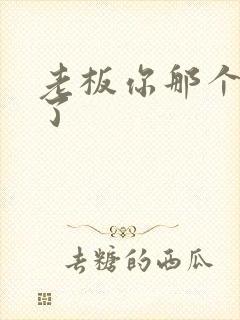 老板你那个太长了