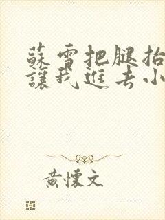 苏雪把腿抬起来让我进去小说