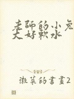 老师的小兔子好大好软水