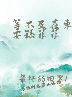 等不及在车里就要孙菲菲