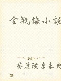 金瓶梅小说下载