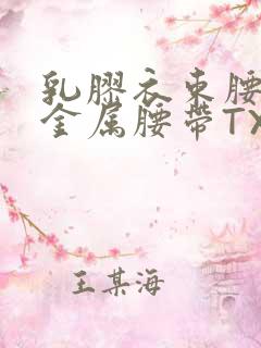 乳胶衣束腰勒紧金属腰带TXT