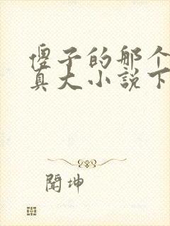 傻子的那个东西真大小说下载