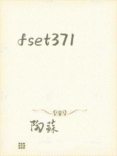fset371
