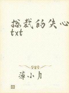 总裁的失心新娘txt