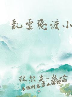 乱云飞渡小说