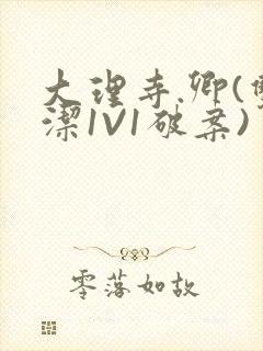 大理寺.卿(双洁1V1破案)