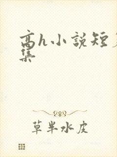 高h小说短篇合集
