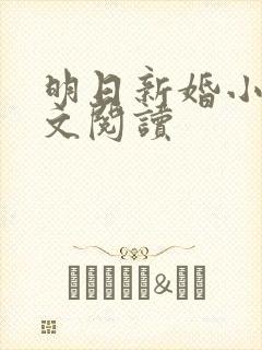 明日新婚小说全文阅读