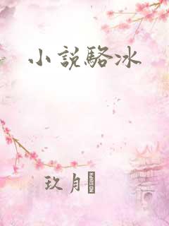 小说骆冰