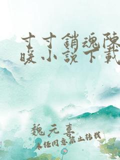 寸寸销魂陈聪王暖小说下载