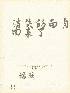 消失的白月光又回来了