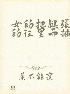 女的把腿张开男的往里面插