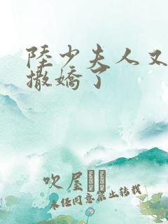 陆少夫人又双叒撒娇了