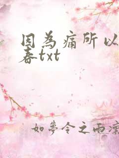 因为痛所以叫青春txt