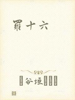 罗十六