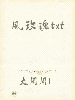 风玫瑰txt