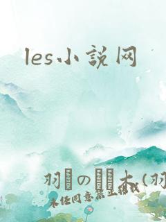 les小说网