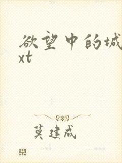 欲望中的城市txt