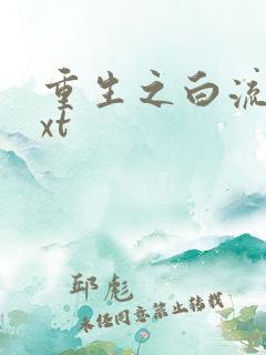 重生之白流苏txt