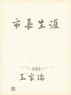 市长生涯