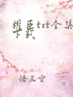 权臣txt全集下载