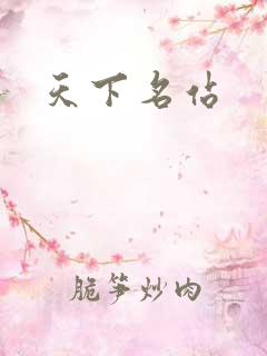 天下名站